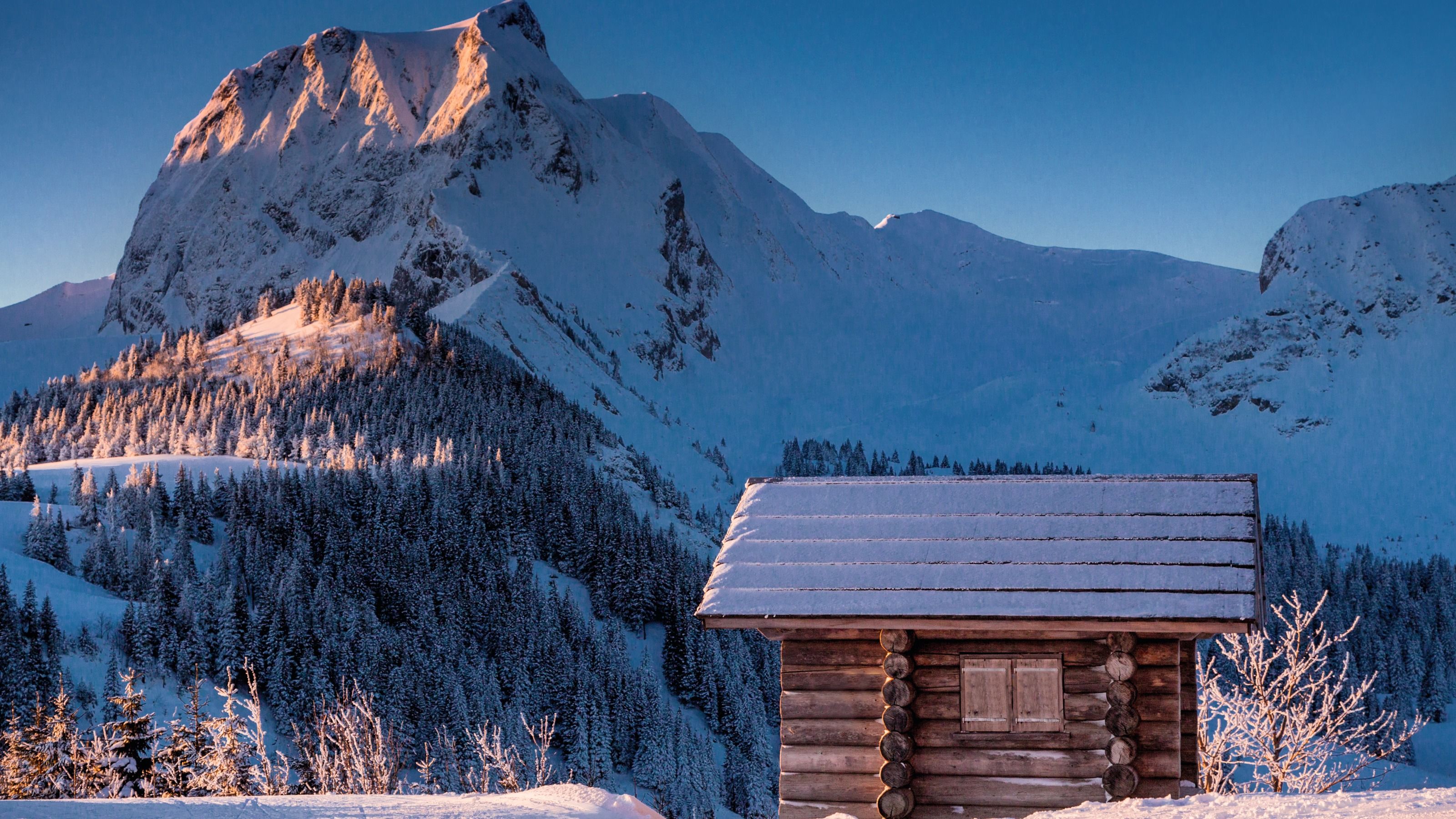 Mountain hut shop